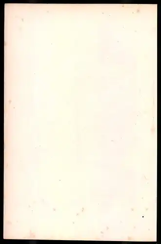 Holzstich Kaiserliche Garde 1812, Pauker der polnischen Lanzenreiter, altkolorierter Holzstich von Bellange um 1843