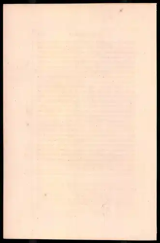 Holzstich Leichte Infanterie, Voltigeur und Karabiner 1809, altkolorierter Holzstich von Bellange um 1843, 16 x 24cm