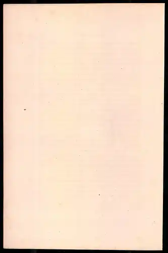 Holzstich Kaiserliche Garde, Sappeur vom Genie, altkolorierter Holzstich von Bellange um 1843, 16 x 24cm