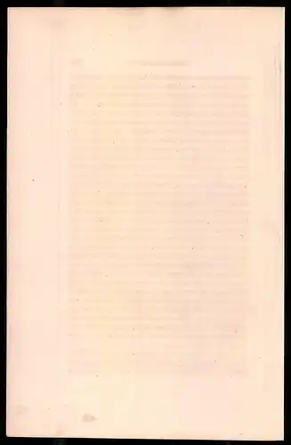 Holzstich Kaiserliche Garde, Jäger-Sergent u. Jäger im Sommer-Dienstanzug, altkolorierter Holzstich von Bellange um 1843
