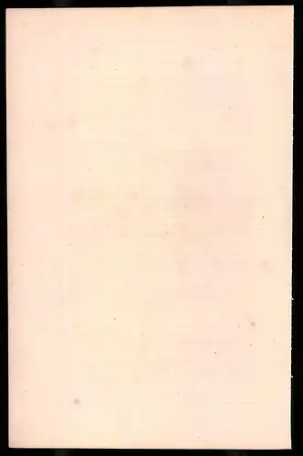 Holzstich Kaiserliche Garde, Mameluck mit Schwert, altkolorierter Holzstich von Bellange um 1843, 16 x 24cm
