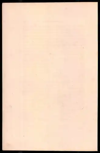 Holzstich Offizier der leichten Infanterie in blauer Uniform 1795, altkolorierter Holzstich von Bellange um 1843
