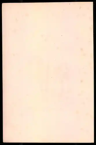 Holzstich Linien-Kavallerie auf dem Pferd 1795, altkolorierter Holzstich von Bellange um 1843, 16 x 24cm