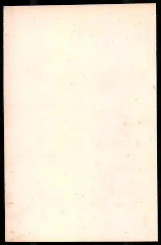 Holzstich General der Republik und sein Guide 1795, altkolorierter Holzstich von Bellange um 1843, 16 x 24cm