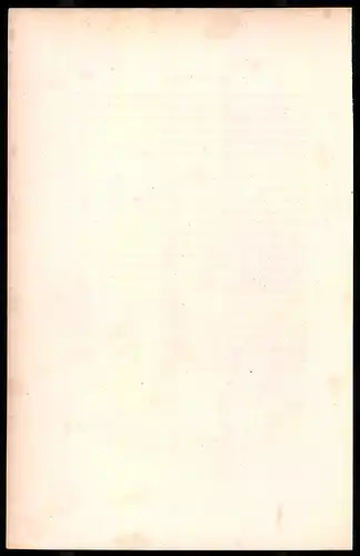 Holzstich Kaiserliche Garde, Grenadiere, Soldat und Offizier, altkolorierter Holzstich von Bellange um 1843, 16 x 24cm
