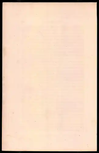 Holzstich Ehrengarde mit Pferd 1814, altkolorierter Holzstich von Bellange um 1843, 16 x 24cm