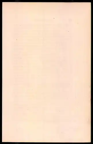 Holzstich Jäger zu Pferde 1814, altkolorierter Holzstich von Bellange um 1843, 16 x 24cm