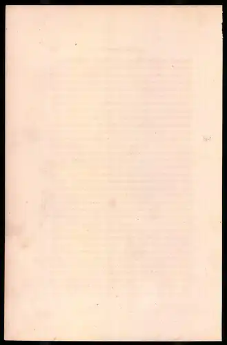 Holzstich Karabinier zu Pferde 1812, altkolorierter Holzstich von Bellange um 1843, 16 x 24cm