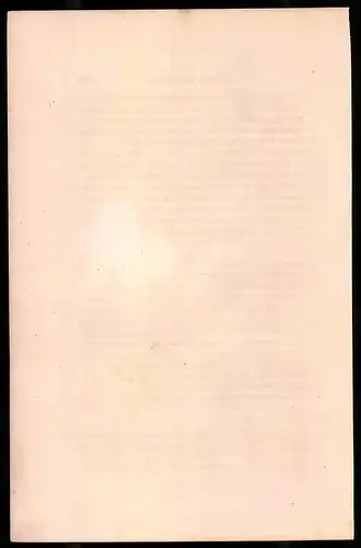 Holzstich Polnischer Lanzenreiter 1812, altkolorierter Holzstich von Bellange um 1843, 16 x 24cm