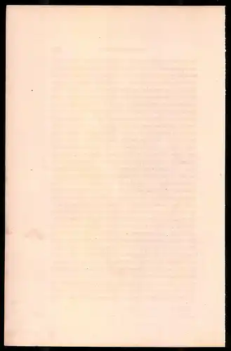 Holzstich Artillerie in Uniform zu Pferde 1812, altkolorierter Holzstich von Bellange um 1843, 16 x 24cm