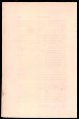 Holzstich Französischer Chevau-Leger 1812, altkolorierter Holzstich von Bellange um 1843, 16 x 24cm