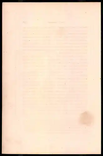 Holzstich Leichte Infanterie, Voltigeur und Karabiner 1809, altkolorierter Holzstich von Bellange um 1843, 16 x 24cm