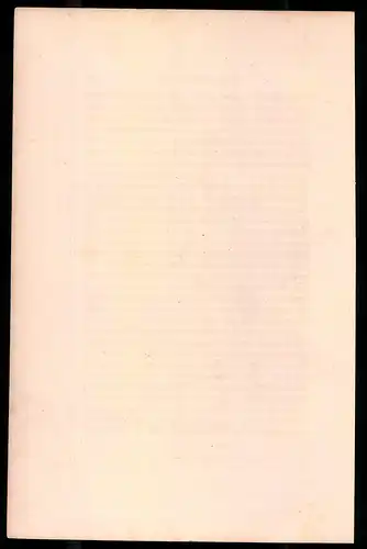 Holzstich Kaiserliche Garde, Sappeur vom Genie, altkolorierter Holzstich von Bellange um 1843, 16 x 24cm