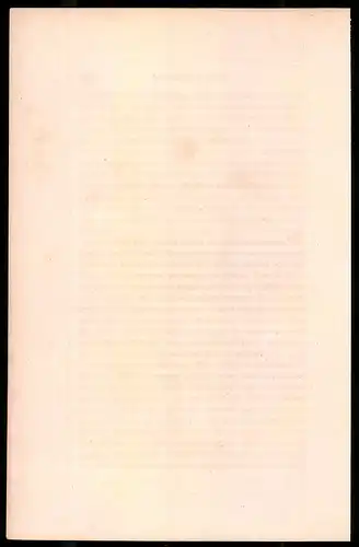 Holzstich Kaiserliche Garde, Füselier-Grenadier im Paradeanzug, altkolorierter Holzstich von Bellange um 1843, 16 x 24cm