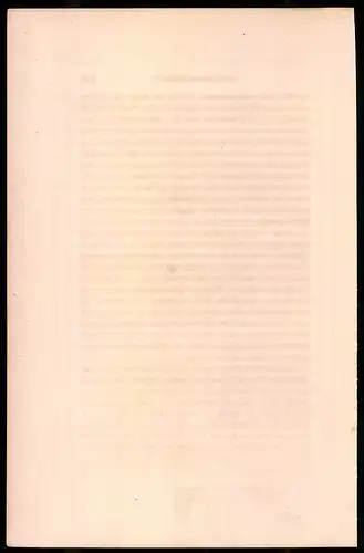 Holzstich Grenadiere der Kaiserlichen Garde, Major und Tambour, altkolorierter Holzstich von Bellange um 1843, 16 x 24cm