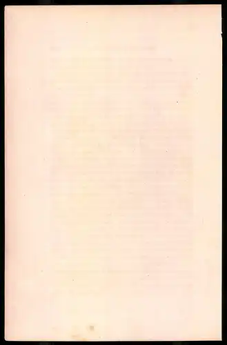 Holzstich Ordonnanzoffizier des Kaisers in blauer Uniform, altkolorierter Holzstich von Bellange um 1843, 16 x 24cm