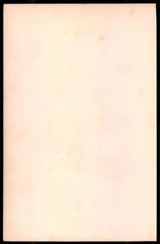 Holzstich Eleve der polytechnischen Schule 1812, altkolorierter Holzstich von Bellange um 1843, 16 x 24cm
