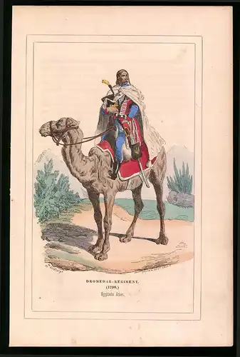 Holzstich Dromedar-Regiment, Ägyptische Armee 1798, altkolorierter Holzstich von Bellange um 1843, 16 x 24cm