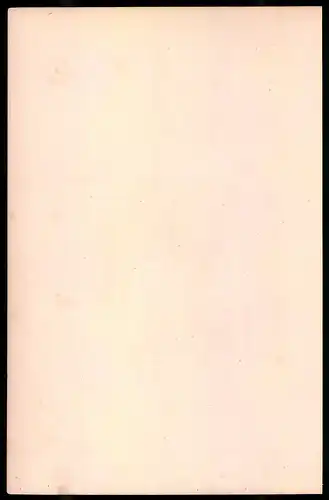 Holzstich Linien-Kavallerie zu Pferde 1795, altkolorierter Holzstich von Bellange um 1843, 16 x 24cm