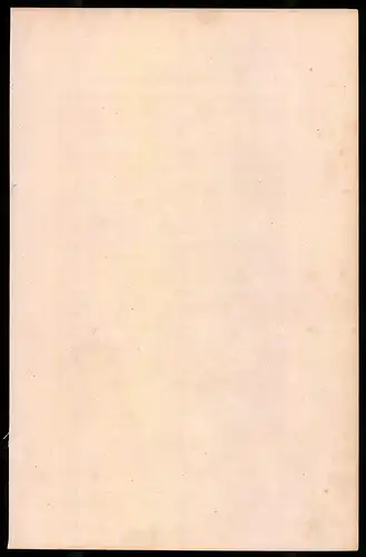Holzstich General der Republik und sein Guide 1795, altkolorierter Holzstich von Bellange um 1843, 16 x 24cm