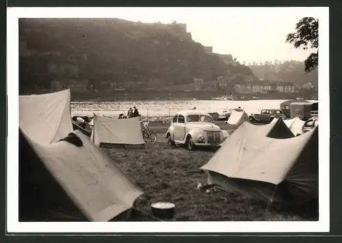 Fotografie unbekannter Fotograf, Ansicht Sankt Goarshausen, PKW's & Zelte auf Campingplatz am Rhein