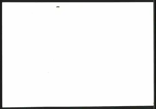 Fotografie Auto VW Käfer, Volkswagen PKW mit Faltdach
