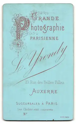 Fotografie L. Yrondy, Auxerre, 19 Rue des Belles Filles, Portrait Frau im Kleid mit Stickerei