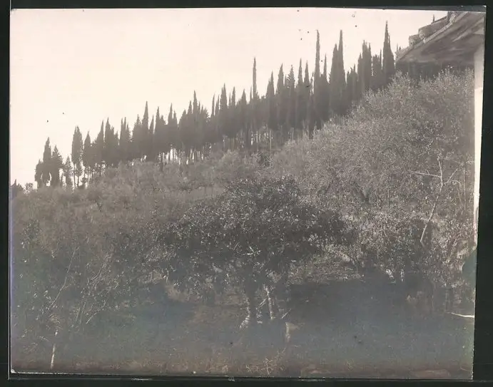 38 Fotografien unbekannter Fotograf, Ansicht Rom / Italien, Bärenführer, Ziegeuner, Trachten, Land & Leute, Stillleben u 13