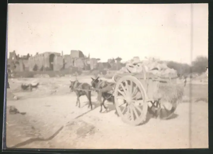 38 Fotografien unbekannter Fotograf, Ansicht Rom / Italien, Bärenführer, Ziegeuner, Trachten, Land & Leute, Stillleben u 15