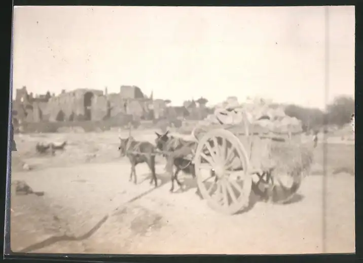 38 Fotografien unbekannter Fotograf, Ansicht Rom / Italien, Bärenführer, Ziegeuner, Trachten, Land & Leute, Stillleben u 15