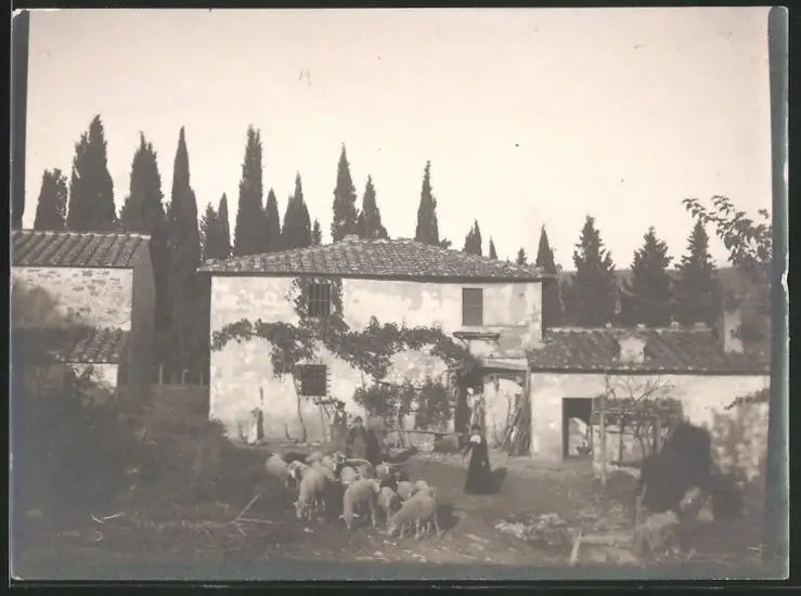 38 Fotografien unbekannter Fotograf, Ansicht Rom / Italien, Bärenführer, Ziegeuner, Trachten, Land & Leute, Stillleben u 20