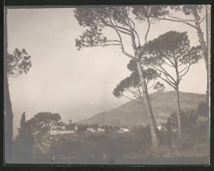 38 Fotografien unbekannter Fotograf, Ansicht Rom / Italien, Bärenführer, Ziegeuner, Trachten, Land & Leute, Stillleben u 21