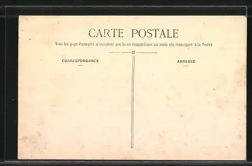 AK Druyes, Le Donjon et la Tour d`angle nord-est du château du côté de Druyes-la-Ville