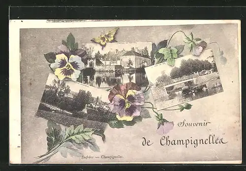 AK Champignelles, Château du Parc-Vieil, Le Pont de Fer, Vue Générale