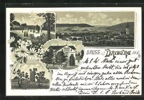 Lithographie Driburg, Kaiser Wilhelm-Bad, Ruine Jburg