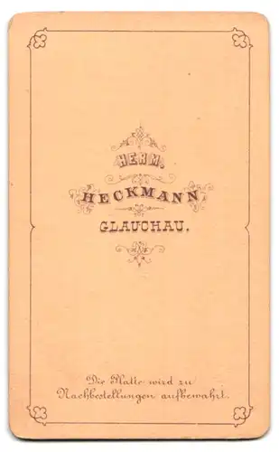 Fotografie Herm. Heckmann, Glauchau, Herr mit Schnäuzer und Halsband in Sacko