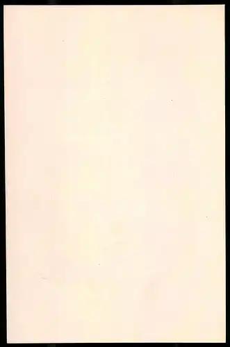 Holzstich Preussische Frei-Corps, Feldprediger nebst Küster, altkolorierter Holzstich v. Kretzschmar nach Menzel um 1853