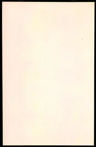 Holzstich Dragoner zu Pferde, Regiment Nr. 11, altkolorierter Holzstich v. Kretzschmar nach Menzel um 1853, 26 x 17cm