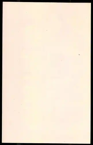 Holzstich 3. Dragoner Regiment, Offizier zu Pferde 1756, altkolorierter Holzstich v. Kretzschmar nach Menzel um 1853