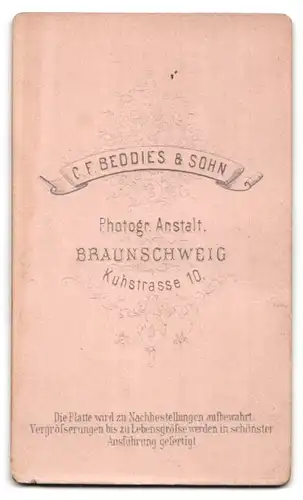 Fotografie C. F. Beddies & Sohn, Braunschweig, Kuhstrasse 10, Portrait bildschönes Fräulein mit Buch im gerüschten Kleid