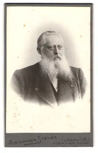 Fotografie Alexander Strube, Löbau i. S., Portrait stattlicher Herr mit grauem Vollbart