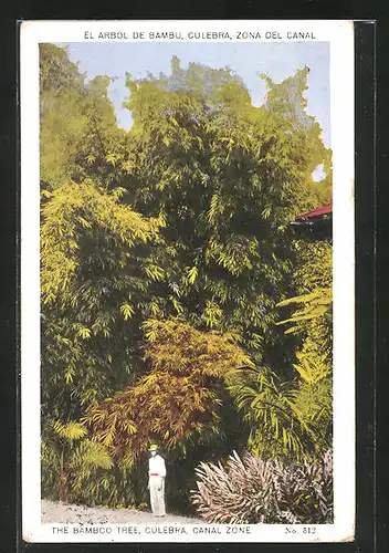 AK Culebra, The Bamboo Tree