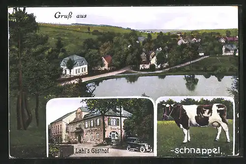 AK Kuhschnappel, Gasthaus Lahl`s, Kuh, Ortspartie