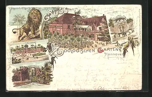 Lithographie Hannover, Zoo, Kamelhaus, Löwe, Affenhaus