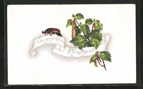 AK Pfingstgrüsse, Maikäfer, Birkenlaub