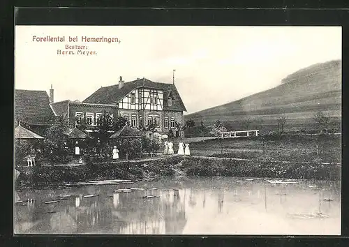 AK Hemeringen, Gasthaus Forellental