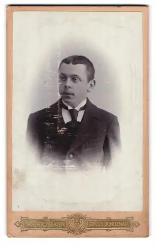 Fotografie A. Hartmann, Gross-Schönau, Portrait junger Mann im Anzug mit Krawatte