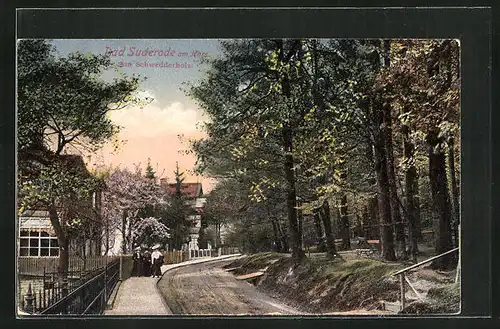 AK Bad Suderode / Harz, Strasse mit Häuser