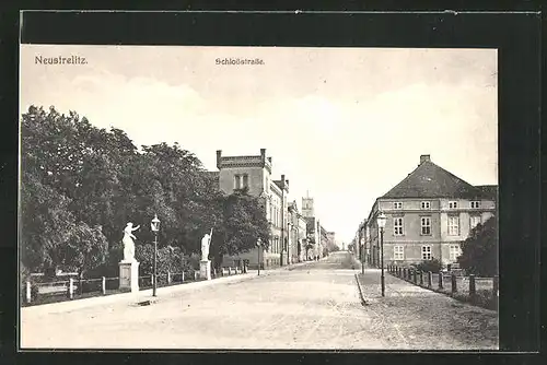 AK Neustrelitz, Schlossstrasse mit Bäumen