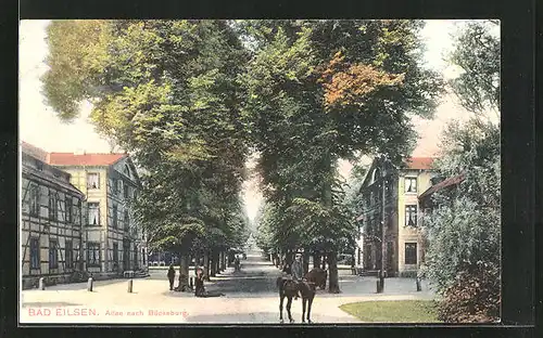 AK Bad Eilsen, Allee nach Bückeburg